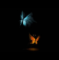 Alexy.Nov - Some