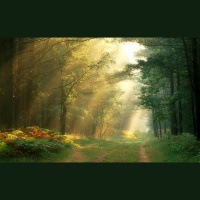 Alexy.Nov - Beautiful August (alternate version)