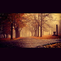 Alexy.Nov - Shadows of Fall