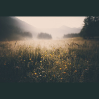 Alexy.Nov - Trubute to Summer