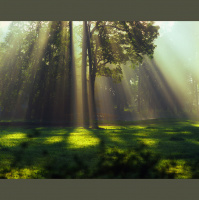 Alexy.Nov - World of Deceptive Serenity