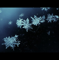 Alexy.Nov - White Waltz of Snowflakes (2nd ed)