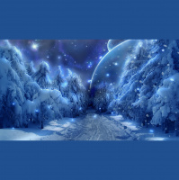 Alexy.Nov - Winter Magic
