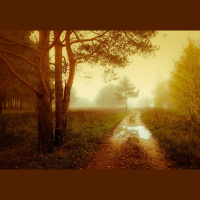 Alexy.Nov - Autumn Pacification (alternate master)