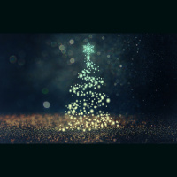 Alexy.Nov - December Rain (pro vla II version)