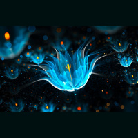 Alexy.Nov - Music of Fantastic Metamorphoses (alternate version)