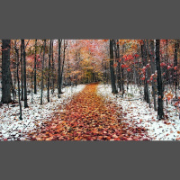 Alexy.Nov - November