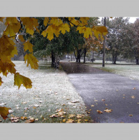 Alexy.Nov - Showers in November