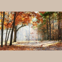 Alexy.Nov - The End of October (ambient version) (tube version)