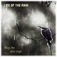 Alexy.Nov  Sonic Scope - Life of the Rain