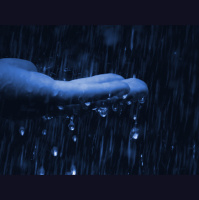 Alexy.Nov - July drops (cover)