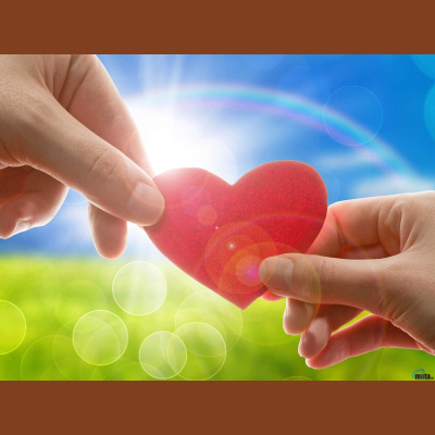 Alexy.nov