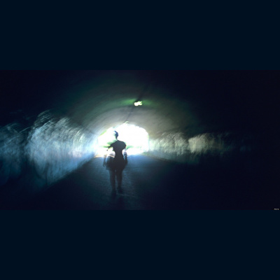 Alexy.nov