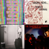 We Dig Music - Series 5 Episode 6 - Now Playing June 2022 The Teardrop Explodes, Viagra Boys,  Deftones