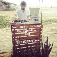 From Ibiza To The Ocean Pto. Escondido #01
