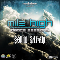 Mile High Dance Sessions 078 - Sound Safari Guestmix