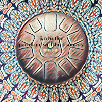 Deep Energy 879 - Pan Drum with Bird Sounds - Background Music for Sleep, Meditation, Relaxation, Massage, Yoga, Studying and Therapy