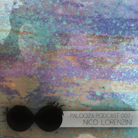 Palooza Podcast 007: Nico Lorenzini