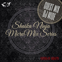 010. SKNJ presents Dj Wide — 4Chikaginsk (MicroMix Series #10)