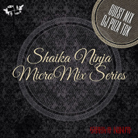 009. SKNJ Presents DjPuzaTGK — Home Work (MicroMix Series #9)