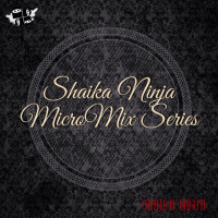 004. Shaika Ninja — Disco Time (MicroMix Series #4)