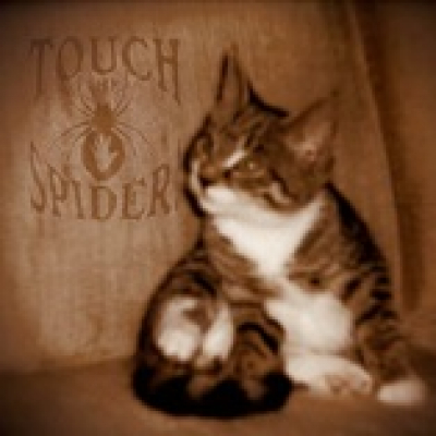 Touch The Spider! Podcast