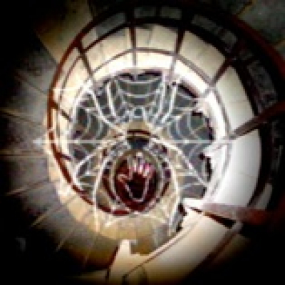 Touch The Spider! Podcast