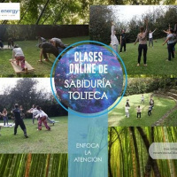 Somos Energía, curso online de Pases Energéticos