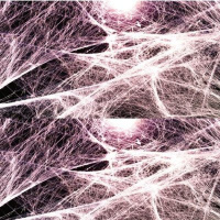La fascia, el órgano secreto, para la salud y la belleza