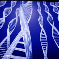 La Meditación Modifica Los Genes