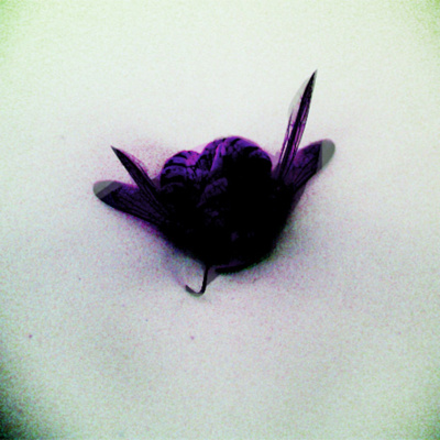 Fake Plastic Heads Podcast