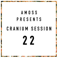 Cranium Session 22