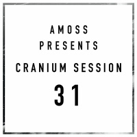 Cranium Session 31