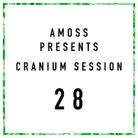 Cranium Session 28