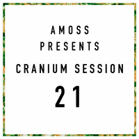 Cranium Session 21