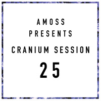 Cranium Session 25