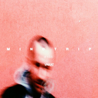 Mindtrip Podcast 105 - Vakat