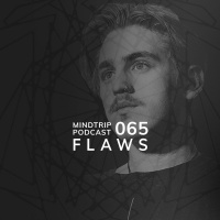 MindTrip Podcast 065 - FLAWS