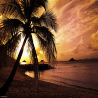 Dj Boost - 100% Club Summer 2010