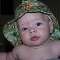 January 2008 Test