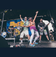 Chatting with Reel Big Fish at Warped Tour 2016