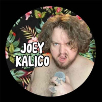 Chatting with ‘Prince of Parodies’ – Joey Kalico