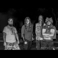 Chatting with Viking death metal band Withering Earth