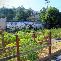 Episode #156 – Wasatch Community Gardens  Grow-A-Row