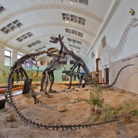 Episode #192 – Natural History Museum of Utah