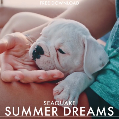 Seaquake - Summer Dreams