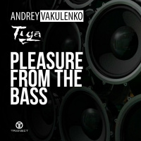Andrey Vakulenko vs Tiga - Pleasure From the Bass (2018 mix)