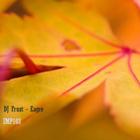 DJ Frust - Eagre (Original Mix)