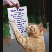 Raven and Blues 18 Nov 2016