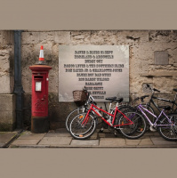 Raven and Blues 21 Sep 2013